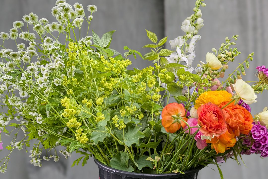Flowers