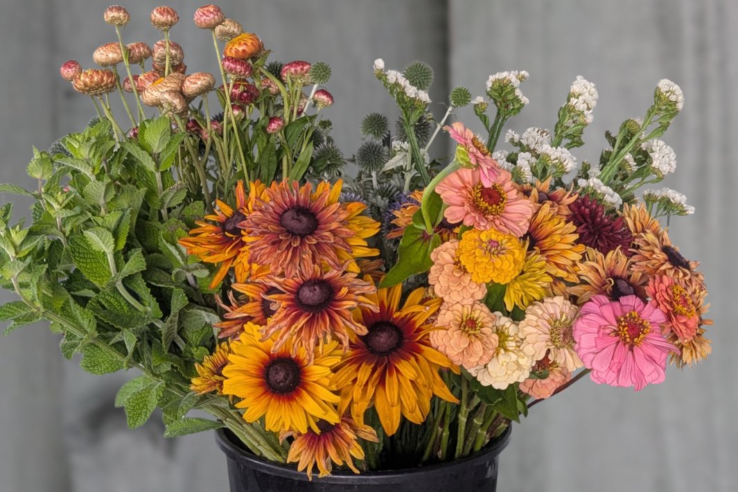 Flowers